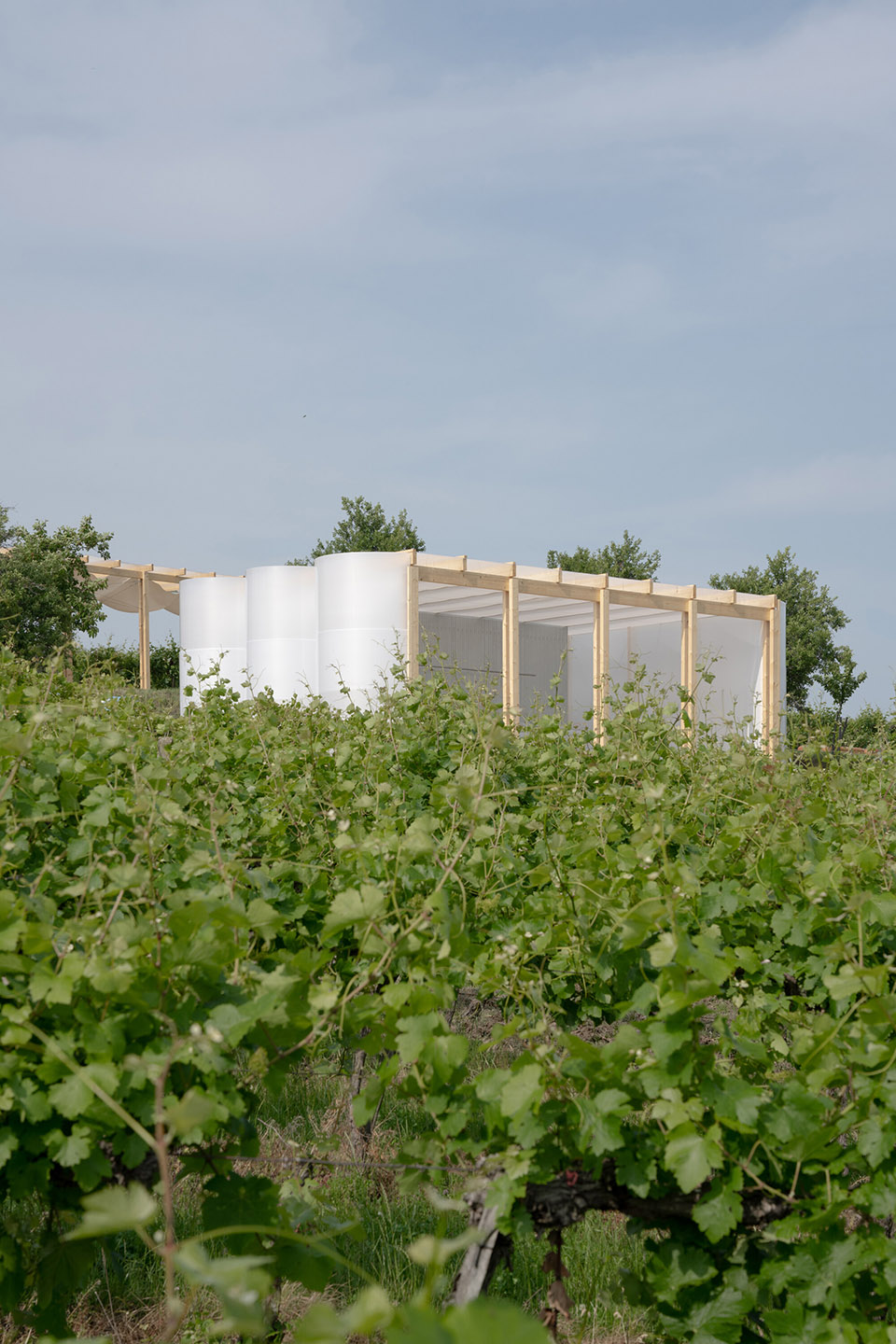 Ženy Víno放克音乐节装置丨斯洛伐克丨Jakub Kolarovič Architects-54