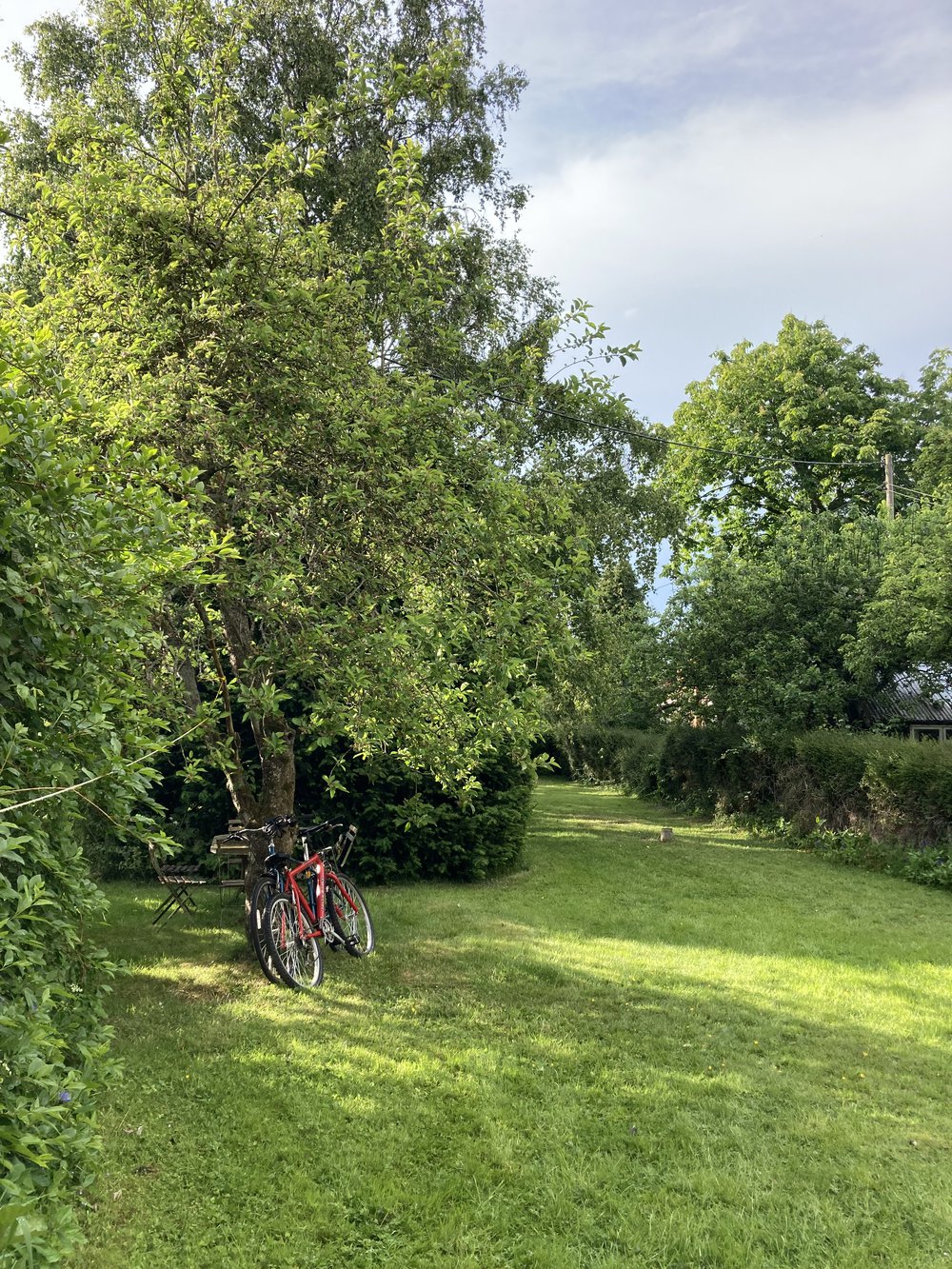 Norfolk的二级保护荷兰山墙房屋丨英国丨Lynch Architects-39