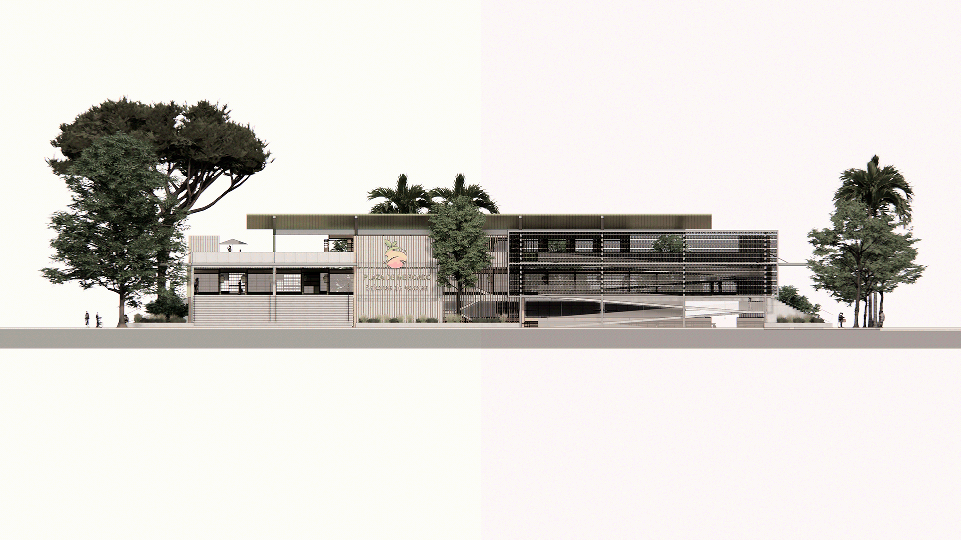 Acacia - farmers market-21