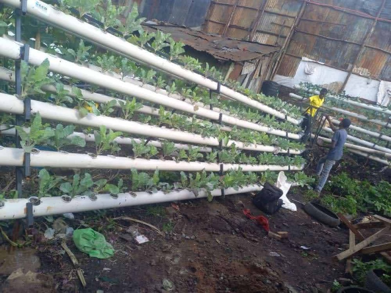 丨肯尼亚内罗毕-42