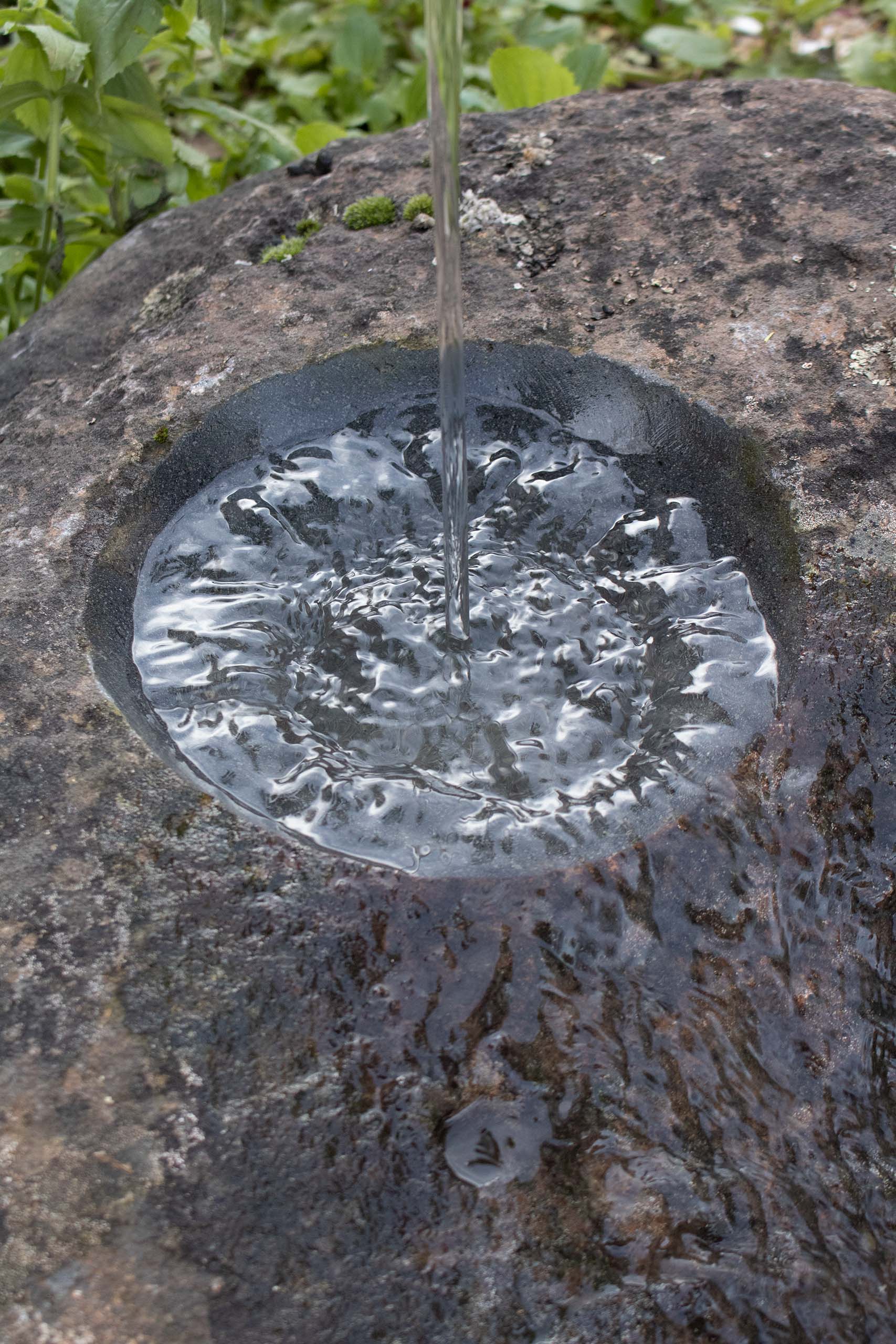 身边风景 | Soft Studio-22