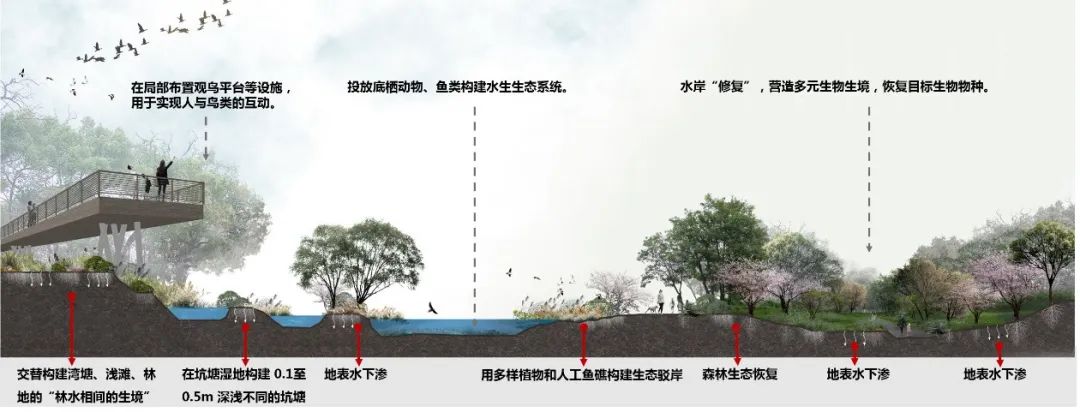 温州三垟湿地公园 | 生态、文化、经济价值重构的典范-38