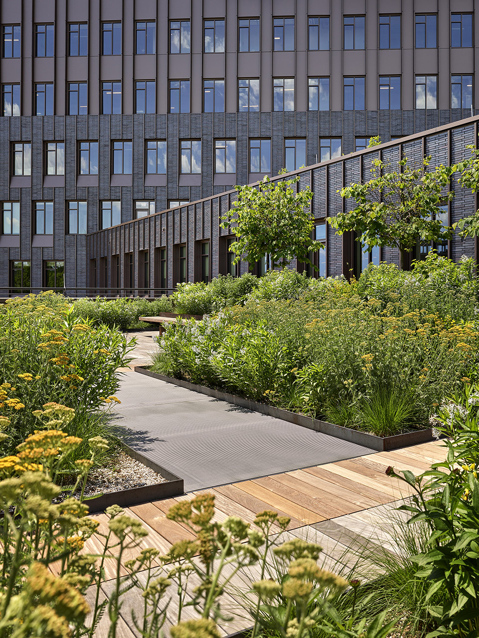 维吉尼亚州夏洛茨维尔企业家发展中心丨美国维吉尼亚丨EskewDumezRipple,WOLF ACKERMAN-123