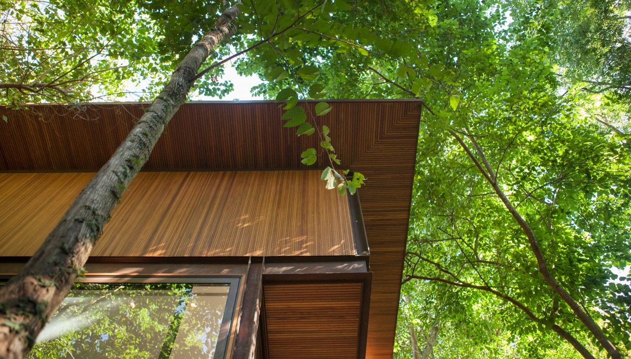 Brazil, Brasilia1 Flexform-2