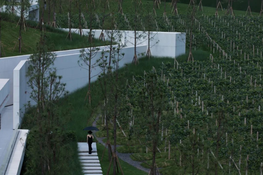 重庆万科璞园丨中国重庆丨WTD纬图设计-4