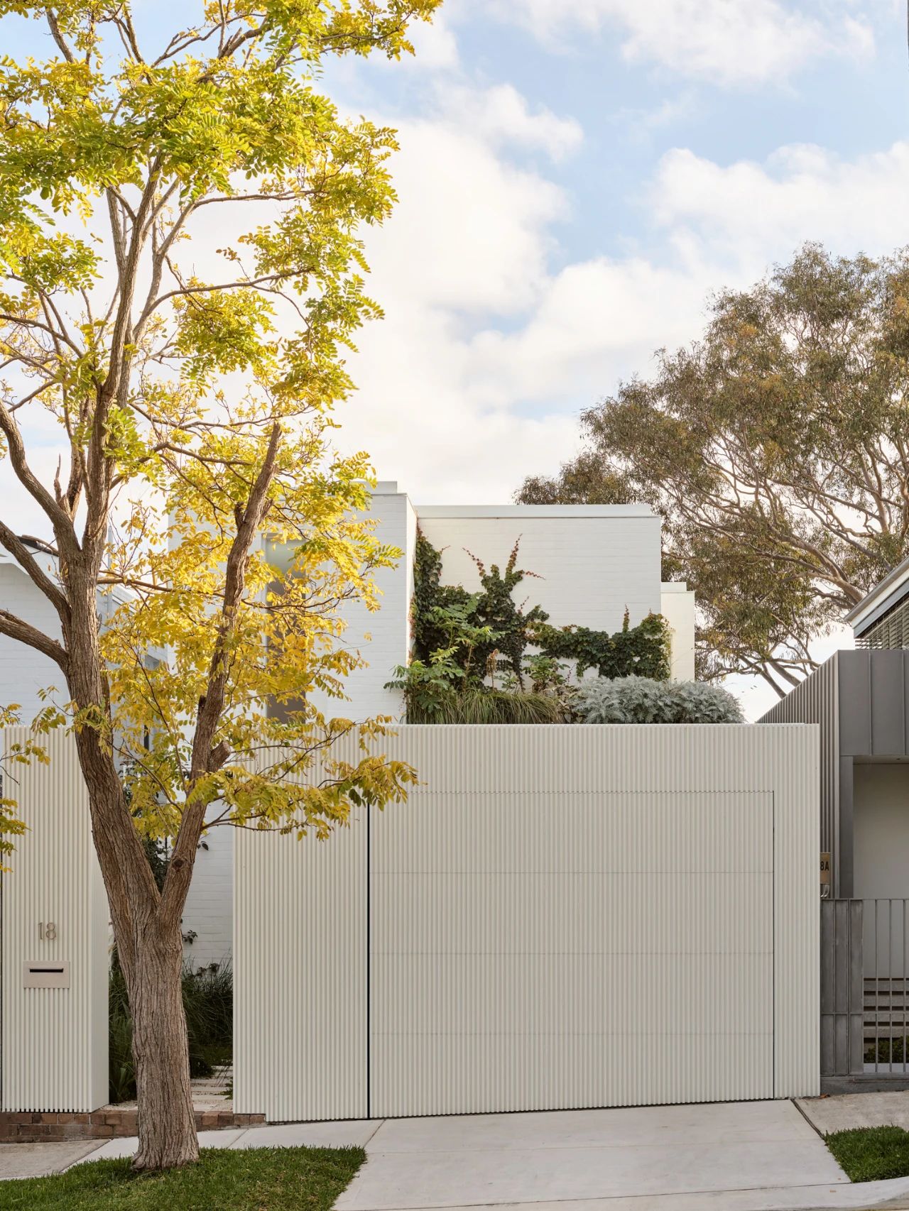 自然诗意之旅 · Woollahra House丨澳大利亚悉尼丨Freya Salter-55