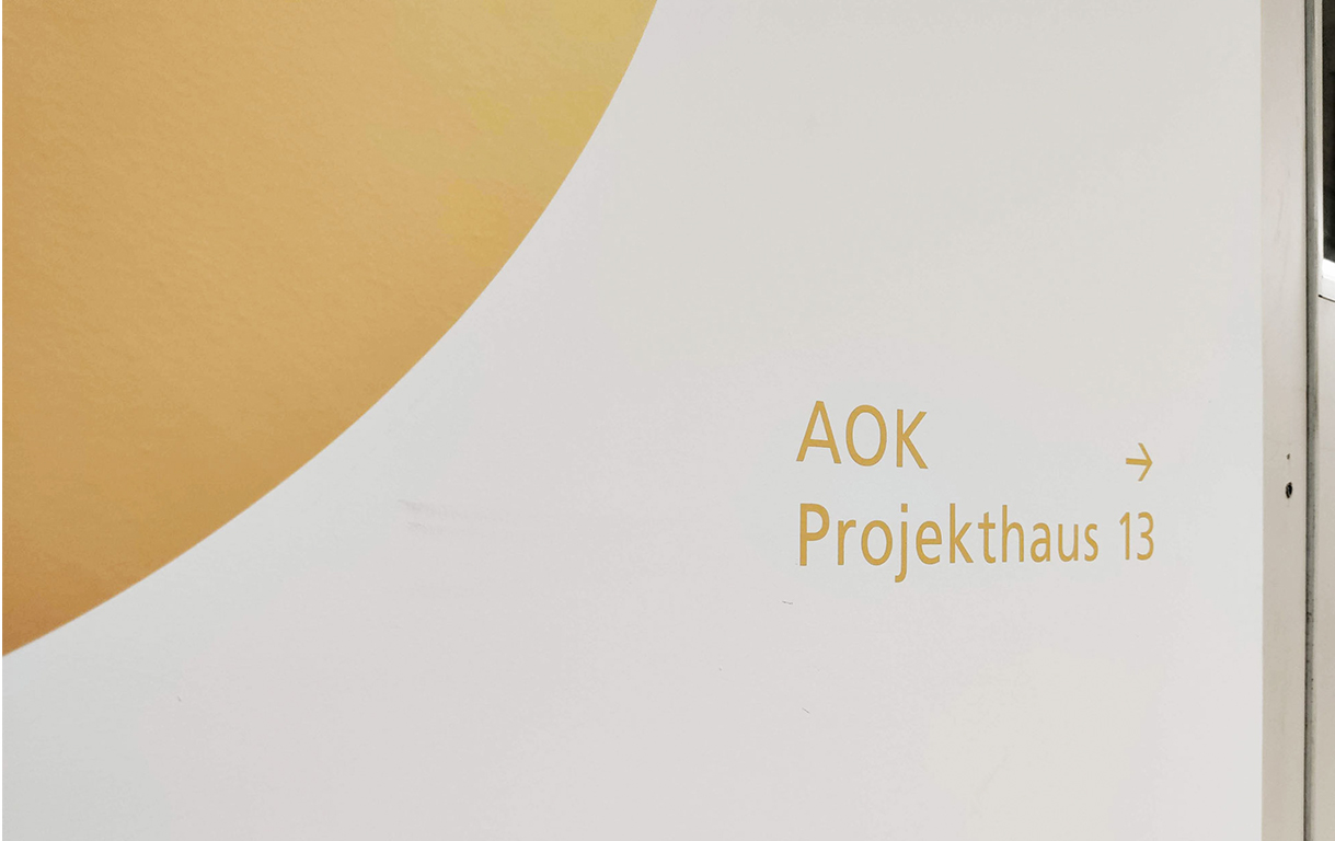 奥科项目屋 13（类型空间）丨德国丨blocher partners-13