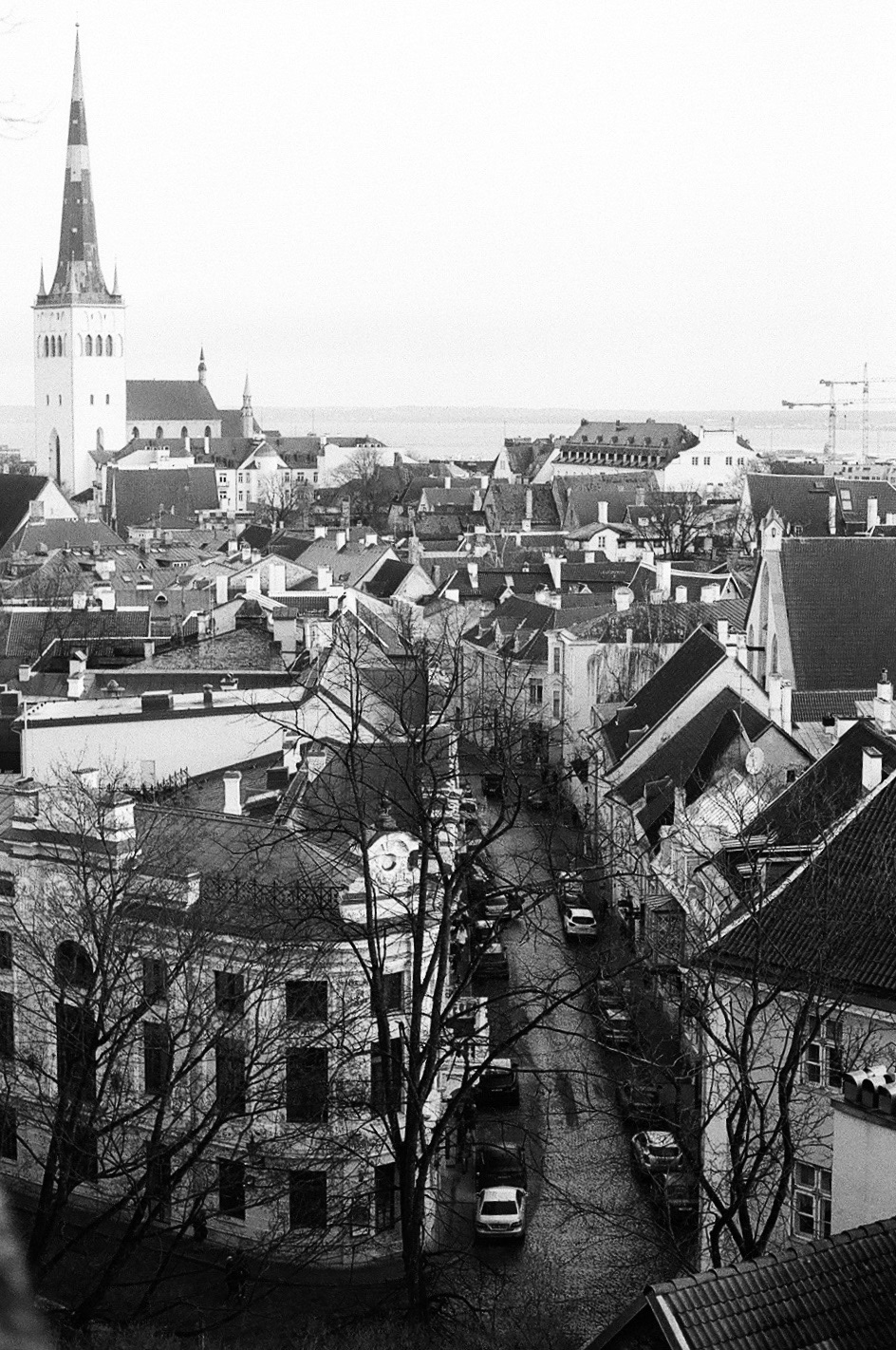 Film about Tallin-4