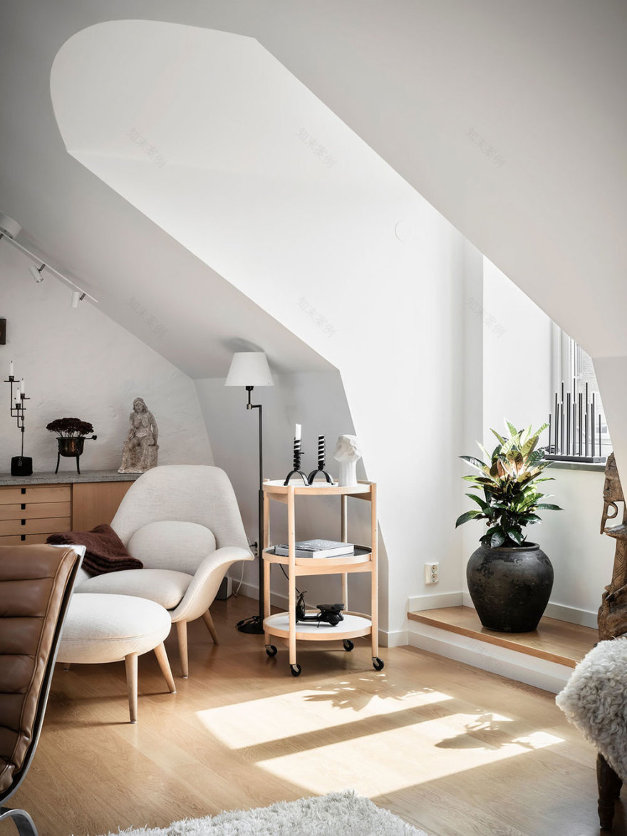 哥德堡明亮宽敞的顶层公寓设计-10