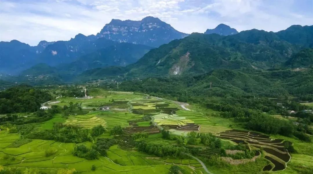 峨眉山恒邦高桥里花境营造丨中国眉山丨成都乐梵缔境园艺有限公司-6