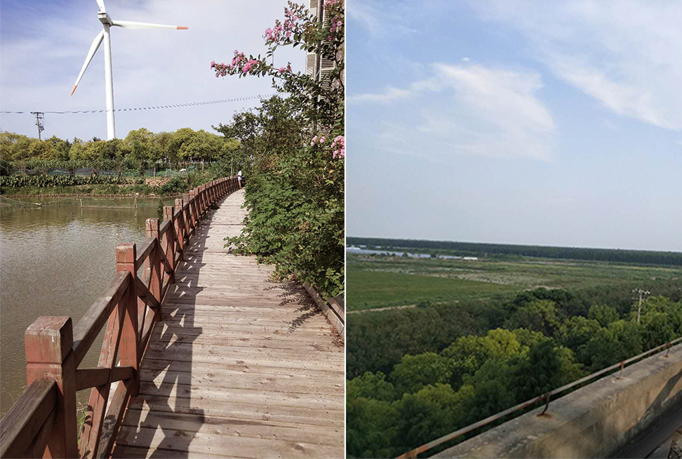 面朝大海,春暖花开——自然环抱的幼儿园设计-22