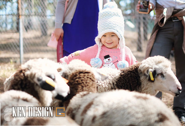 Zoodoo咖啡馆(“澳大利亚风格”动物园咖啡馆)丨越南-23