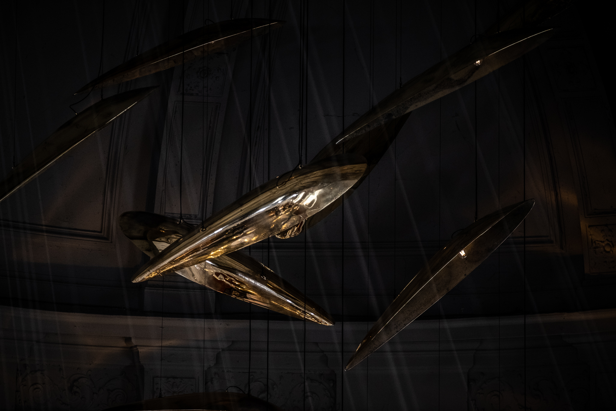 Sharks at The Jane - Dieter Vander Velpen Architects-5