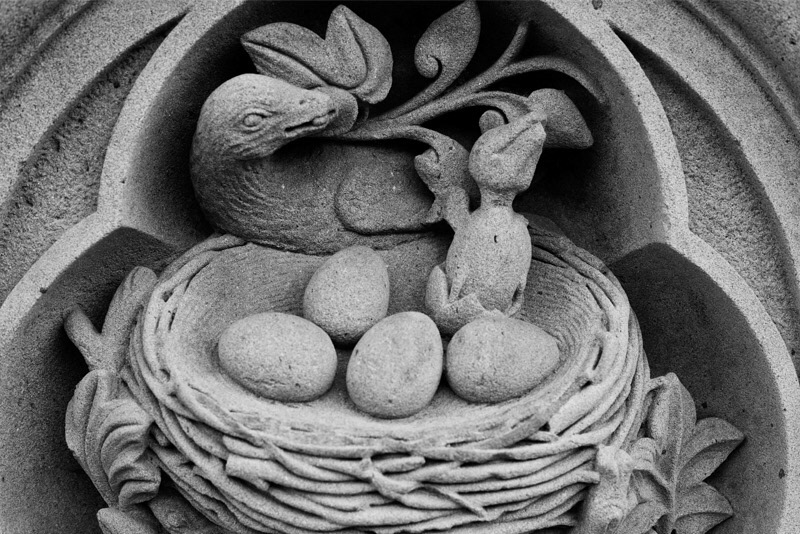 Anastasiya Gushchina丨广场丨Interiors and architecture-2