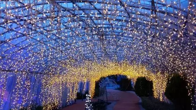 火山脚下的童话农场:阿苏农场-52