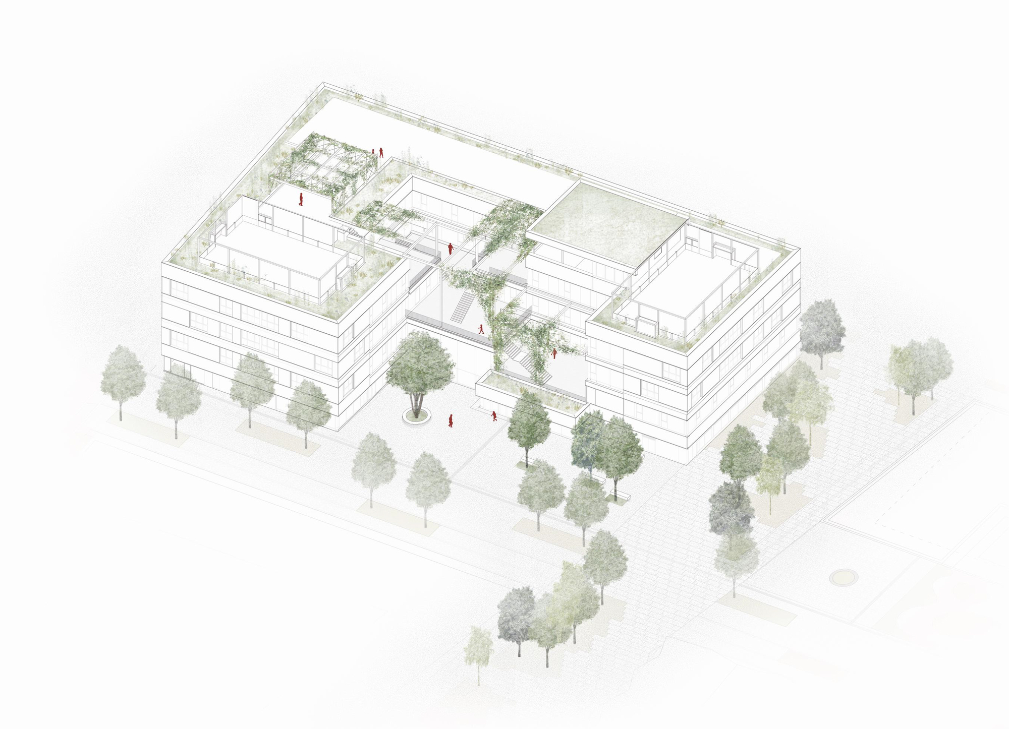 中学丨奥地利丨Janser Castorina Katzenberger-11