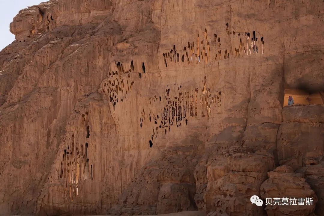 自然与建筑共生的设计魅力-15