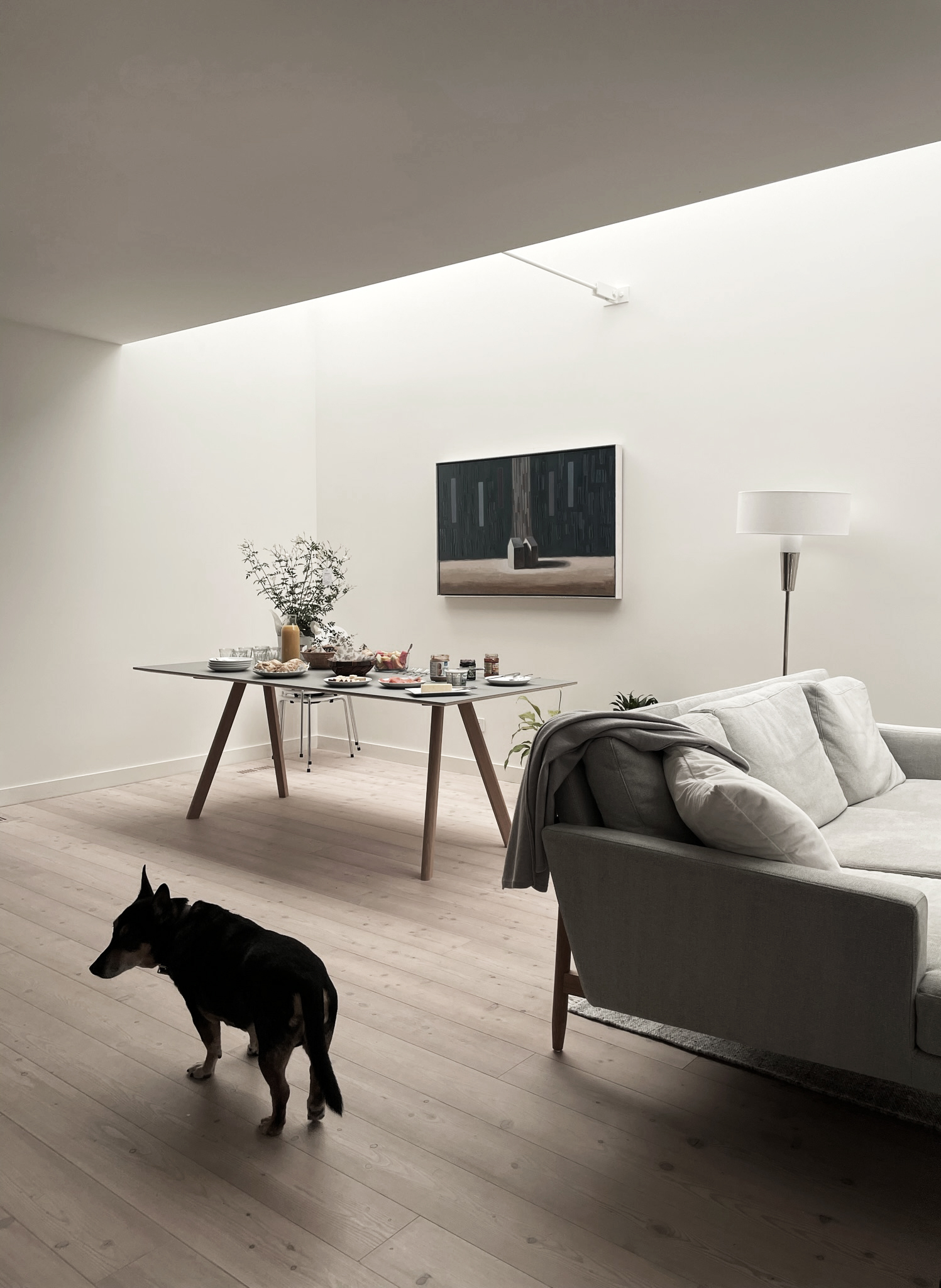 克拉文路小屋丨加拿大多伦多丨Anya Moryoussef Architect (AMA)-38