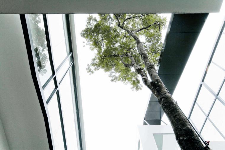 泰国 Chokchai 4 别墅丨archimontage design fields sophisticated-23