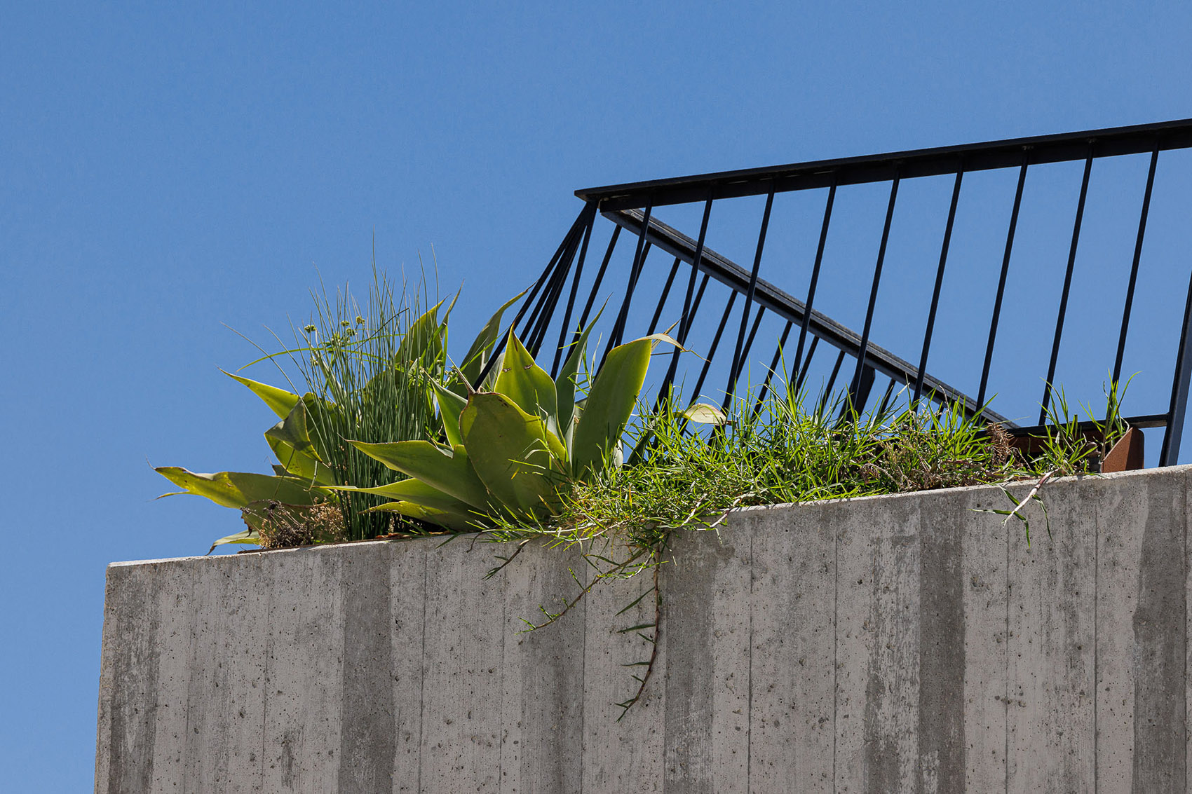 BD 住宅丨葡萄牙丨ESQUISSOS-93