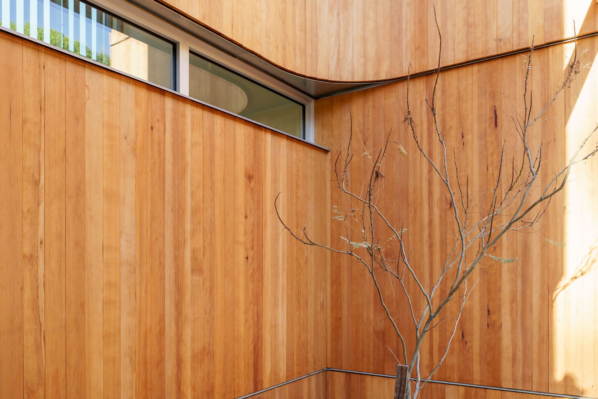 阿什兰住宅丨美国丨Dimster Architecture-33