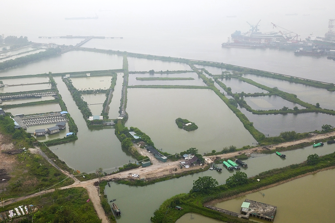 大湾区大学滨海湾校区总体规划及一期工程设计丨萨尔瓦多滨海丨weico-4