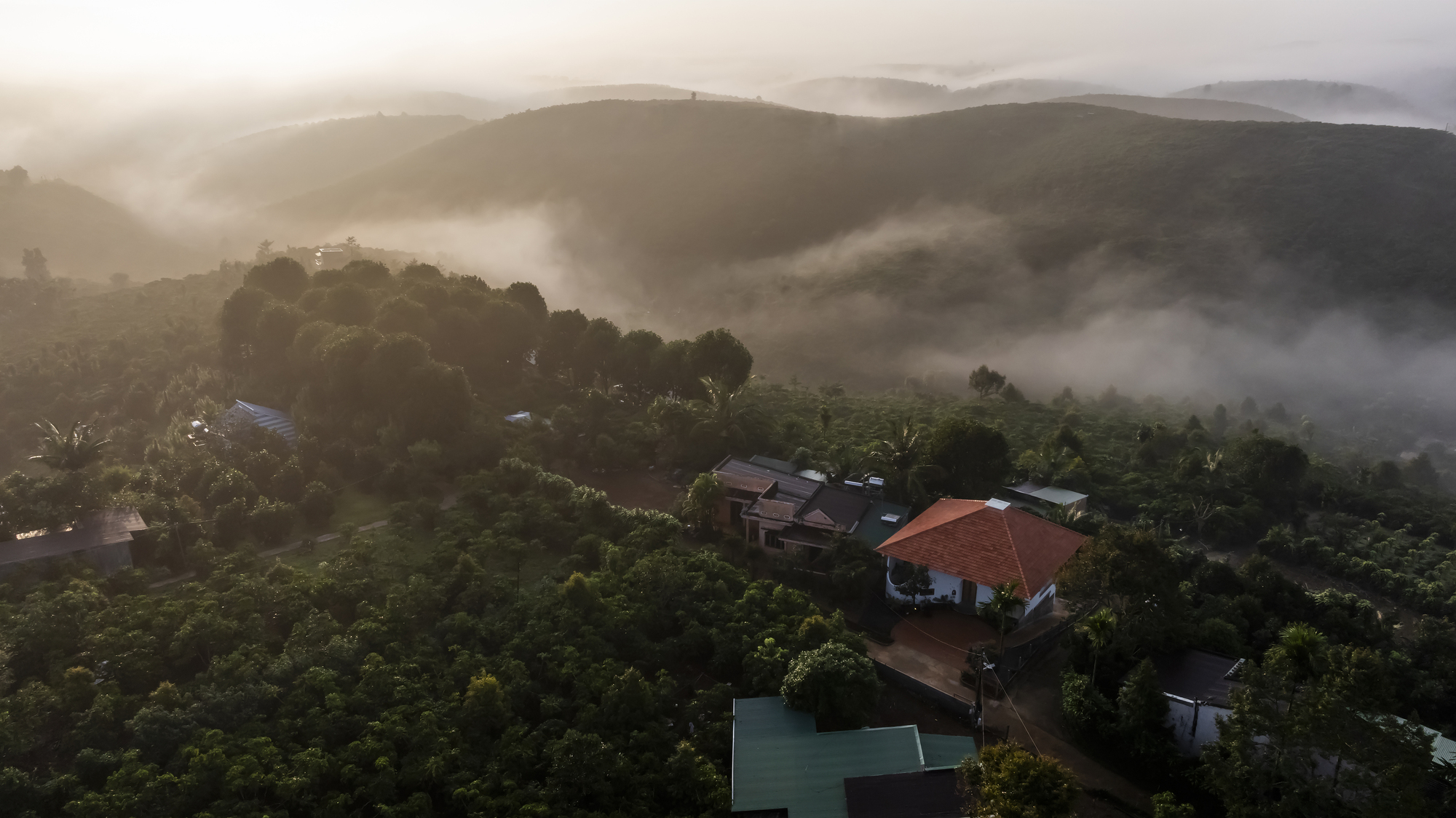 布鲁姆之家,布鲁姆丨越南丨The Bloom Architects-41