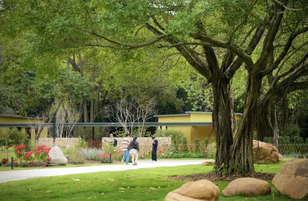 十一赏景别错过！华南国家植物园[绿美广东物种展示园]-67