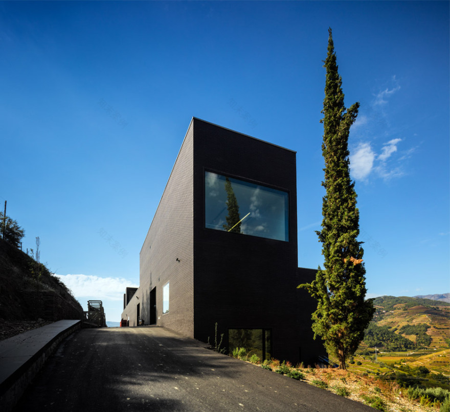 Alves de Sousa 酒庄-2