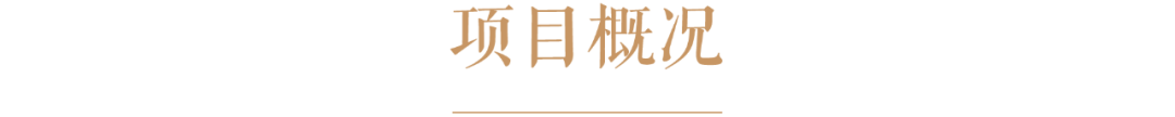 南京五季凯悦臻选酒店丨中国南京丨BUZZ庄子玉工作室-21