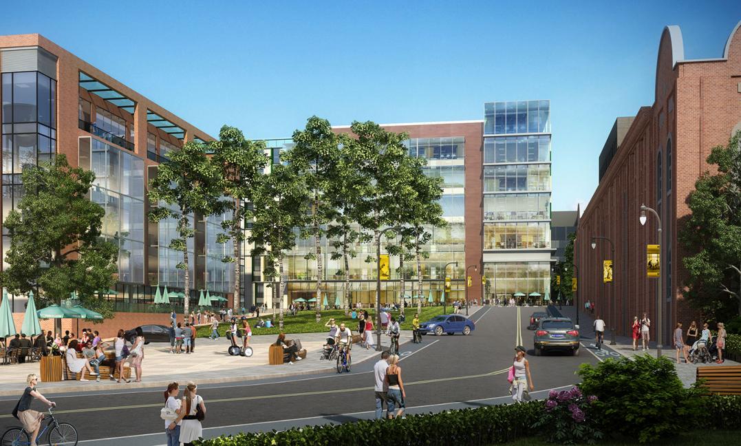 丨美国北卡罗来纳丨CBT与Greenberg Consultants-6