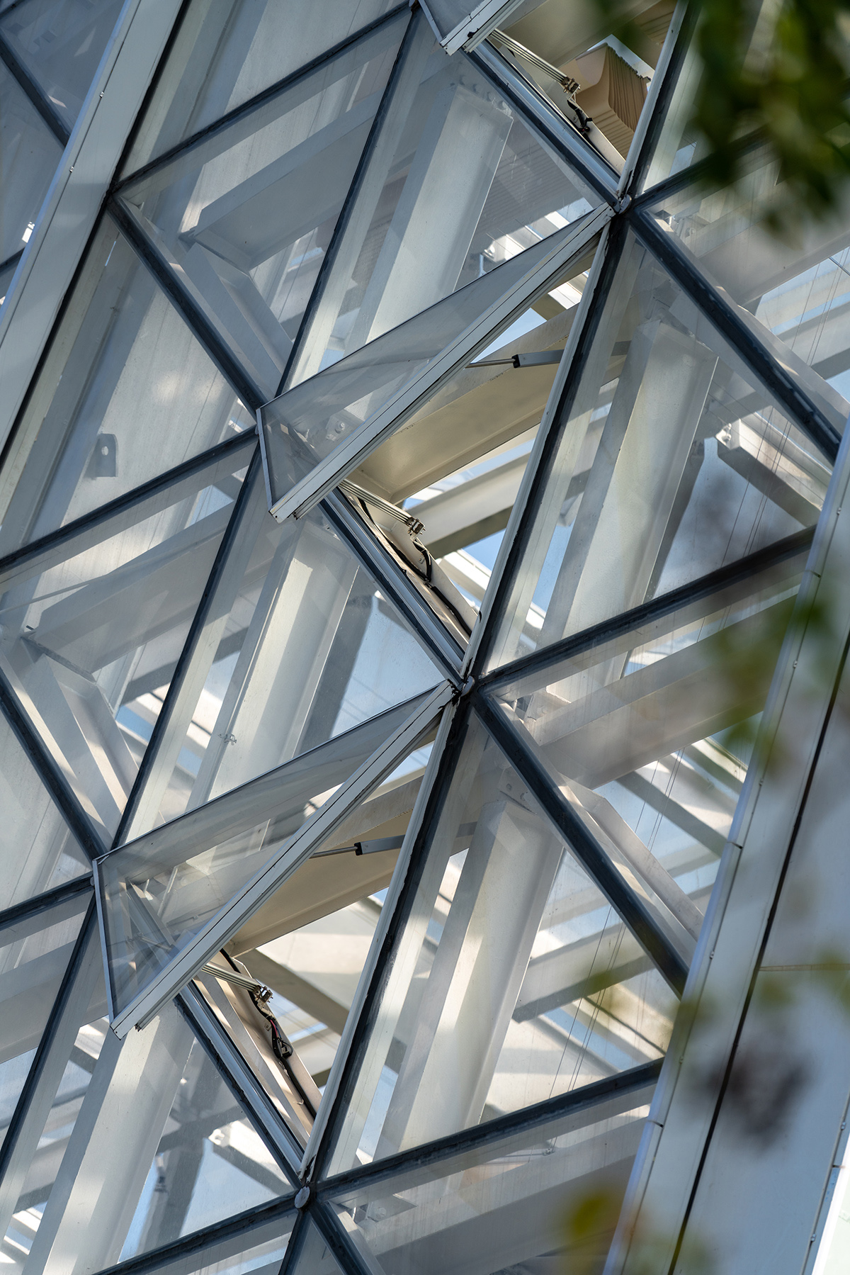 南通植物园温室丨中国南通丨简和建筑-29