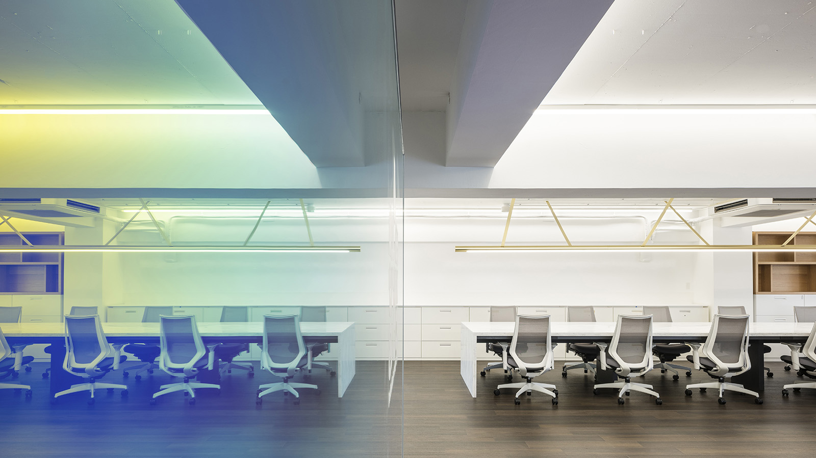 wondertrunk and co  I IN-2