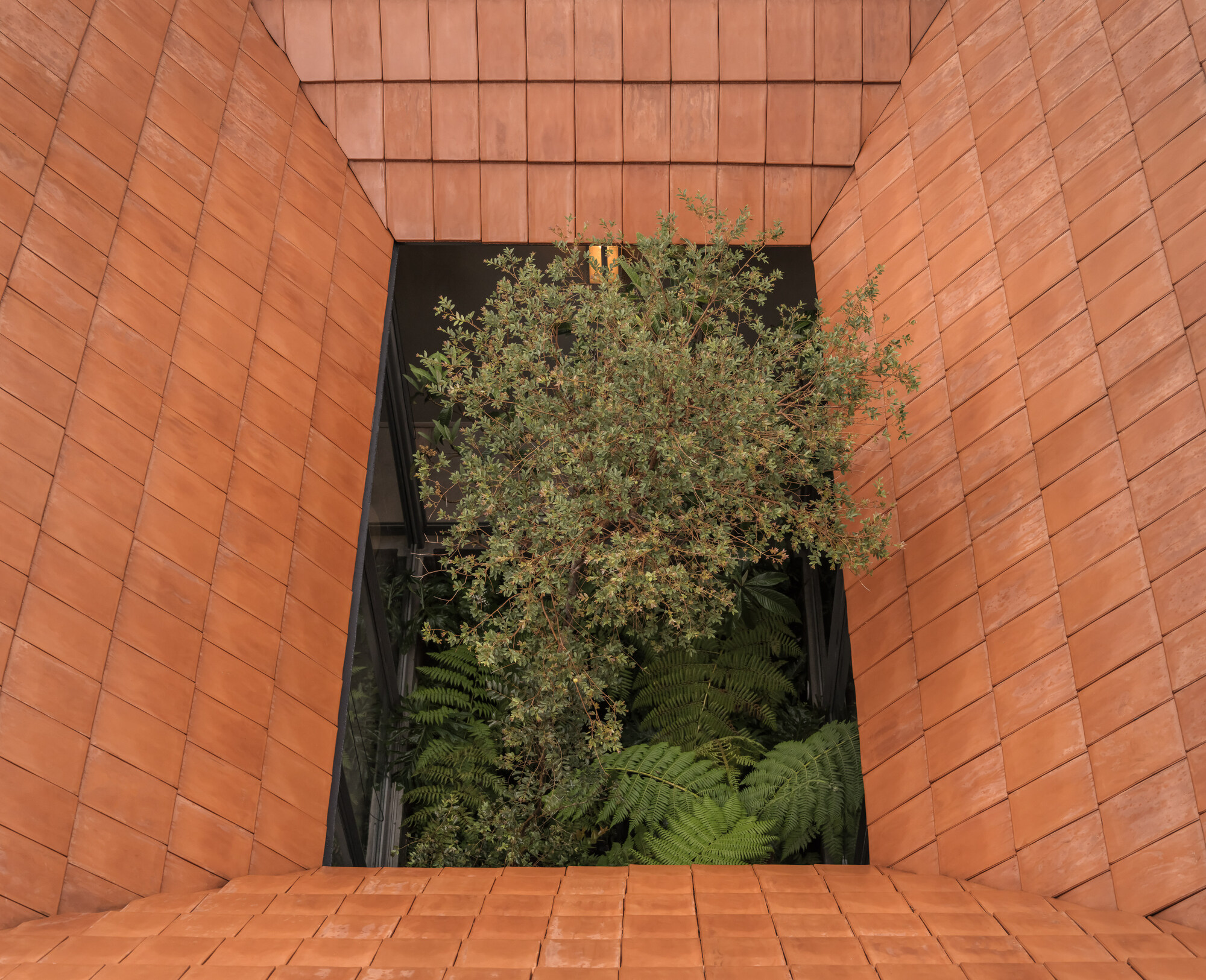 AÚNA 餐厅丨墨西哥墨西哥城丨MRD Arquitectos-6