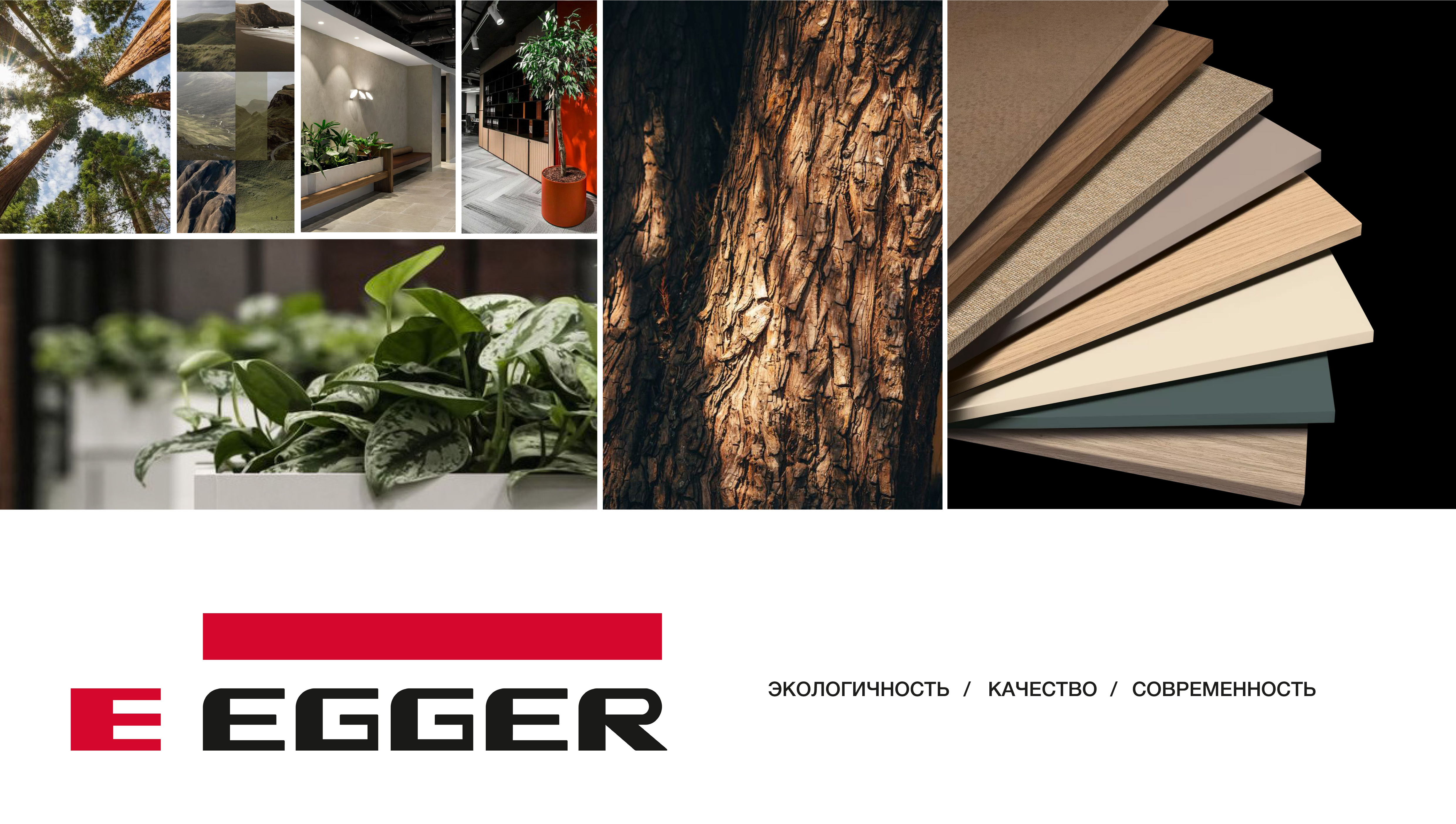 办公空间内饰，爱格（品牌名，推测EGGER一般指爱格品牌，该品牌在建材如板材领域较知名）-3