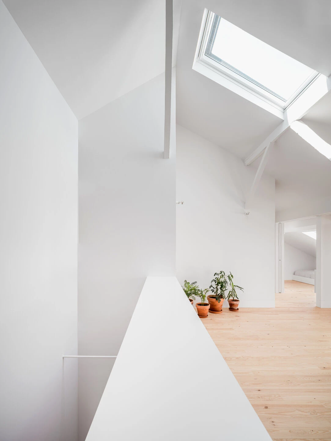 里斯本 Saraiva de Carvalho 公寓丨葡萄牙里斯本丨Aboim Inglez Arquitectos-40