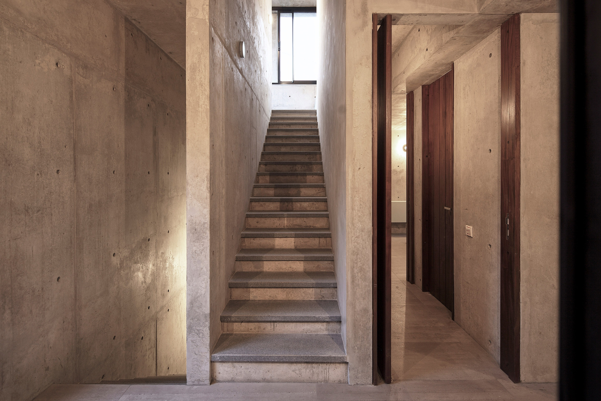 大树小植物屋丨Read Studio-49