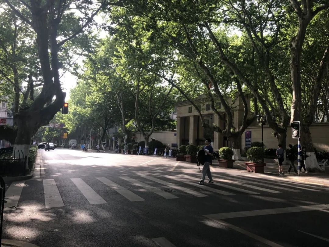 你知道吗，四牌楼南大门周边竟悄悄地换了新容-61