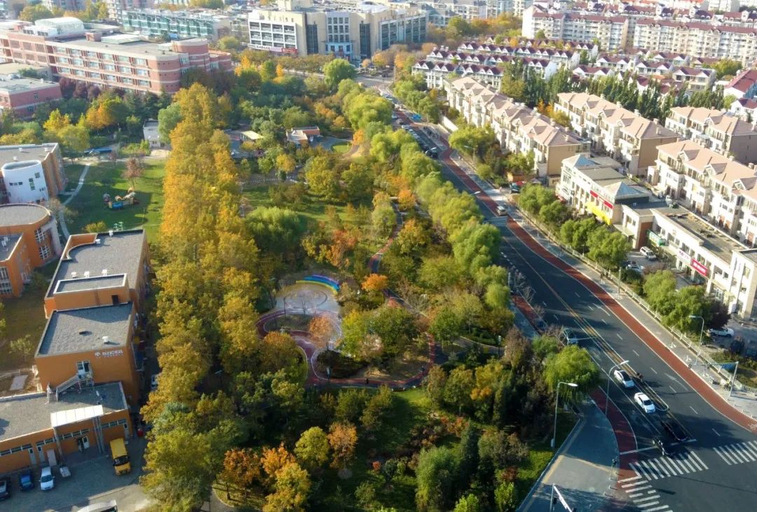 经开区9号绿地景观提升项目(海棠公园)丨中国北京丨北林地景-8