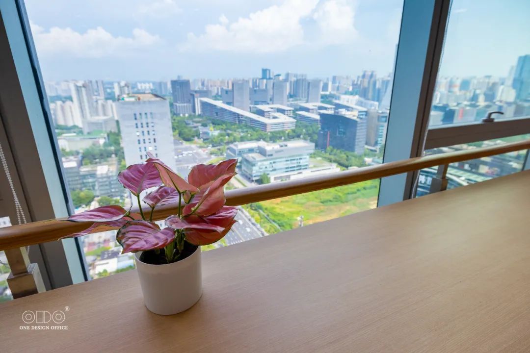 乐信圣文 OCG 职场丨中国成都丨ODO-32