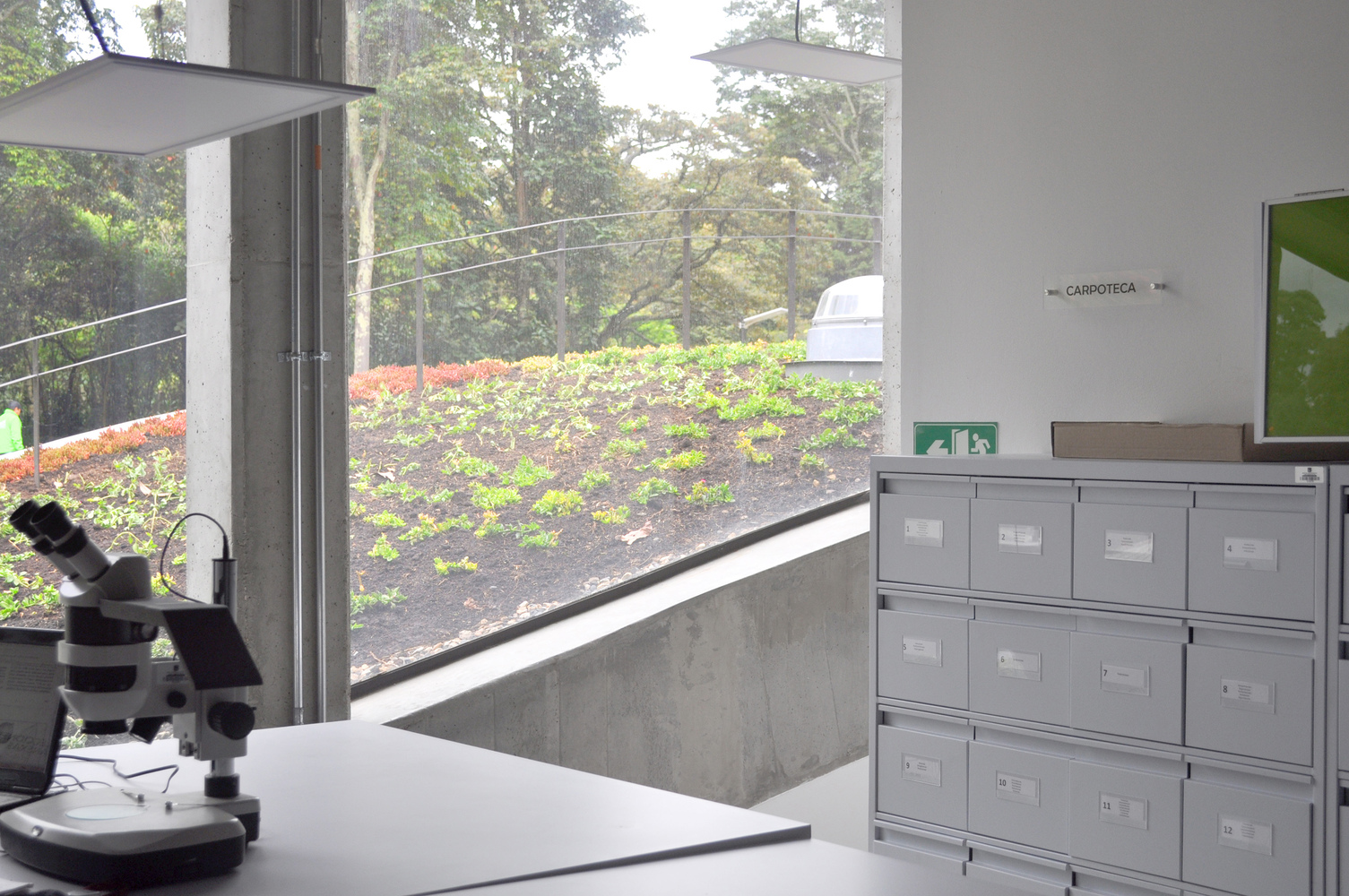 波哥大植物园植物标本馆-46