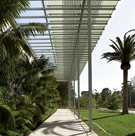 加州科学院新馆 | 绿色环保的设计典范-17