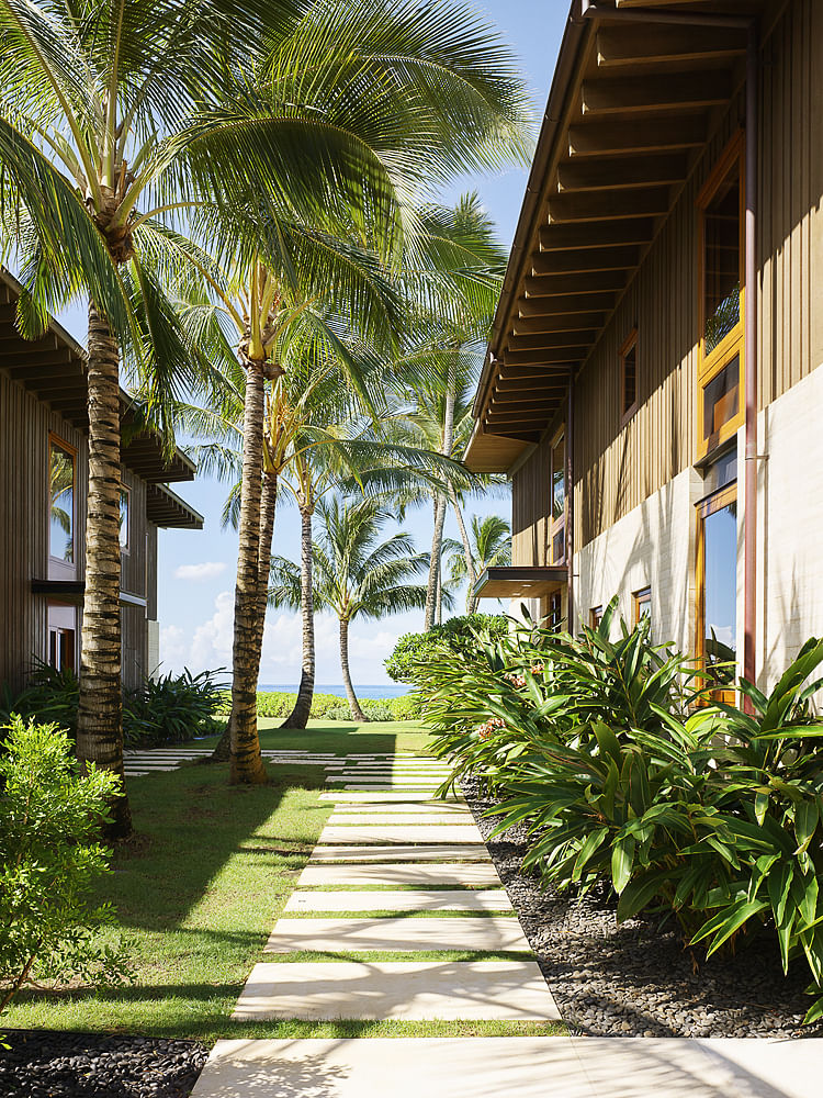 丨美国夏威夷丨Walker Warner-53