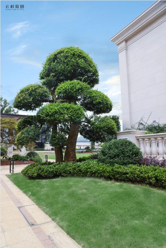 龙凤山庄 J 府丨杭州云杉庭园设计工程有限公司-22