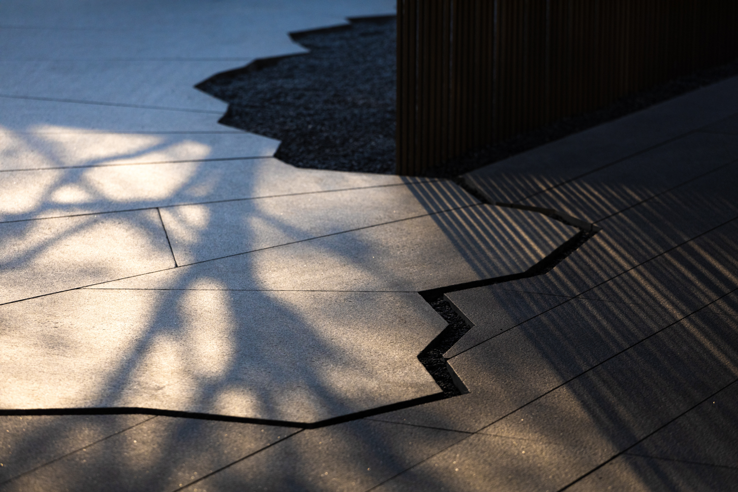 香港置地卓越集团·林山郡-55