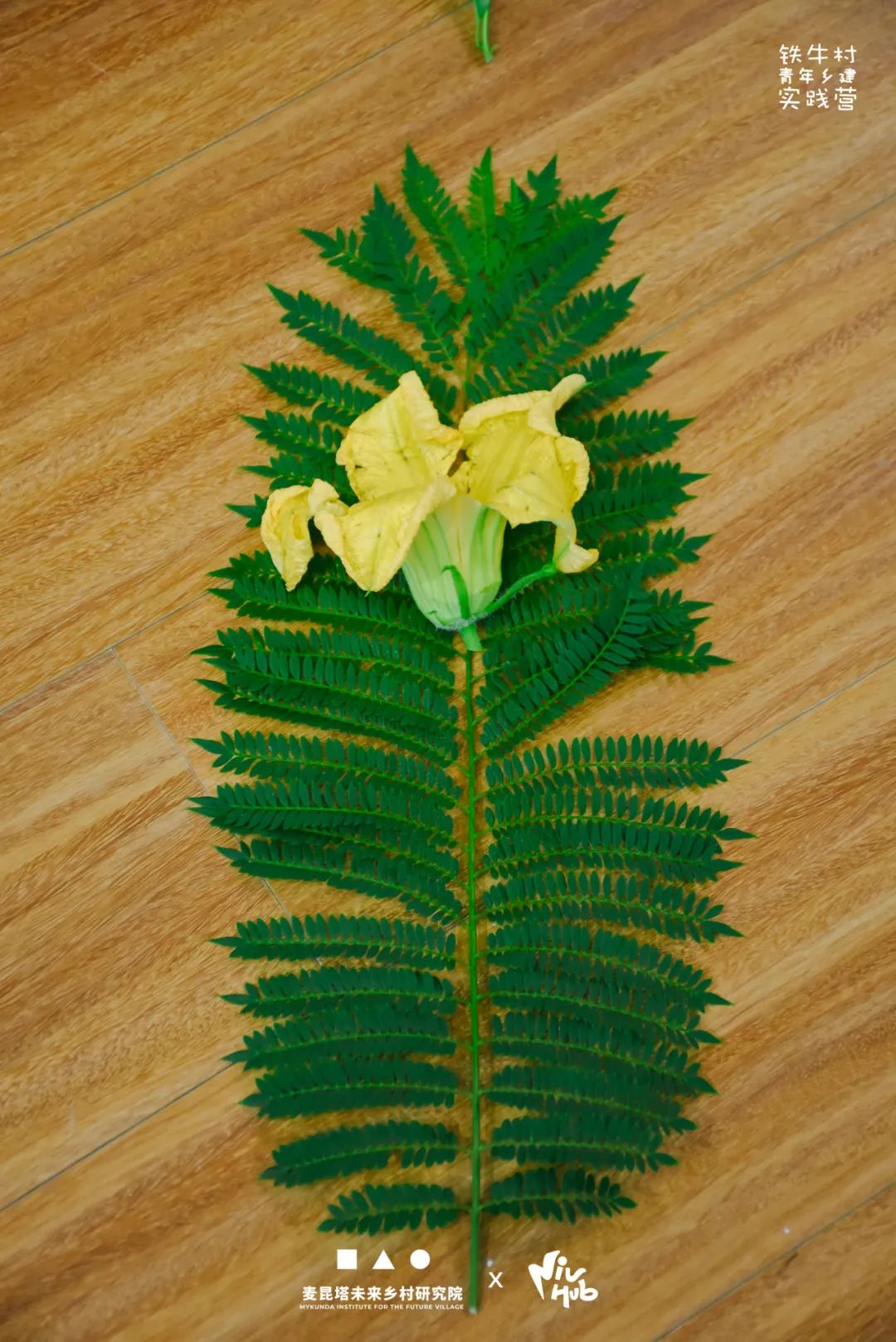 一场人与场地共生的创新实验｜铁牛村青年乡建实践营活动回顾-27