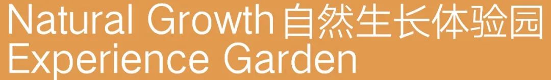 杭州融创·桐庐圆尊府丨中国杭州丨荷于景观设计咨询（上海）有限公司-95