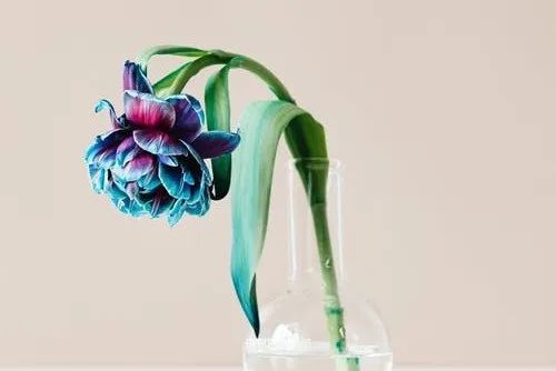 【案例】120㎡法式古典奶油风：为养老房注入温柔与浪漫，陪伴是最长情的告白-7