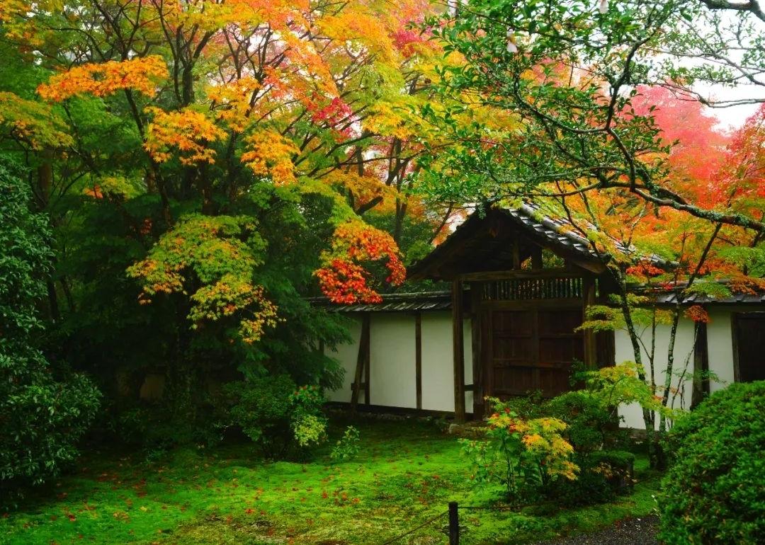 梦窗疏石·禅庭闲寂丨日本-68