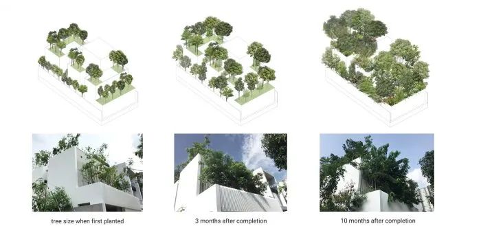 曼谷“森林之家” | 绿色住宅的可持续设计-56